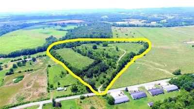 Spring Mountain Realty PLLC