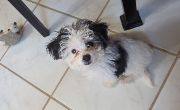 Glory Bee Costa- Keller Williams Select Realtors