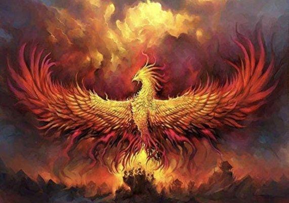 Phoenix Personal Training