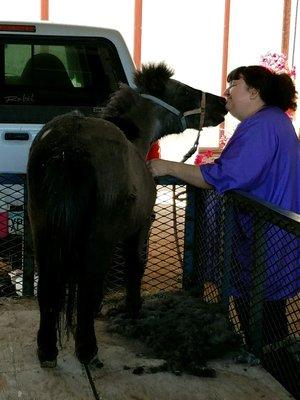 Cheap Dog Boarding and Day Care