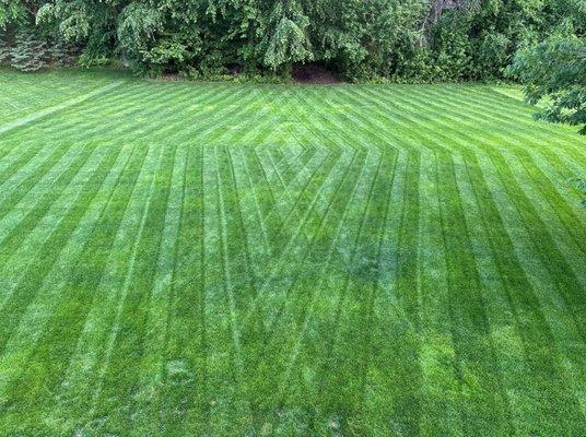 Evergreen Pro Landscaping