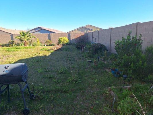 N&P Landscape Services