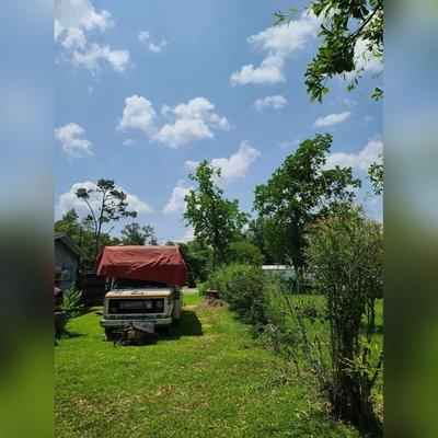 Calcasieu's Tree Service