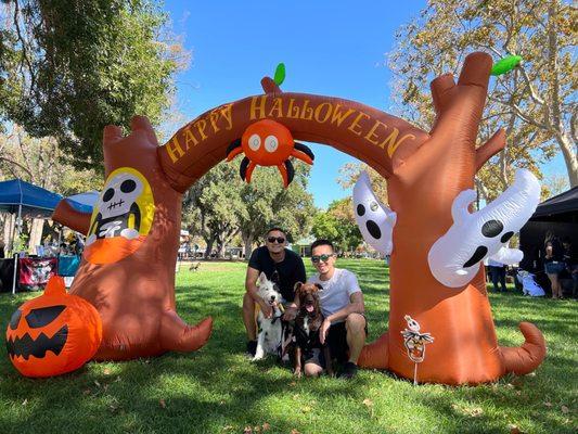 Anything's Pawsible Dog Training