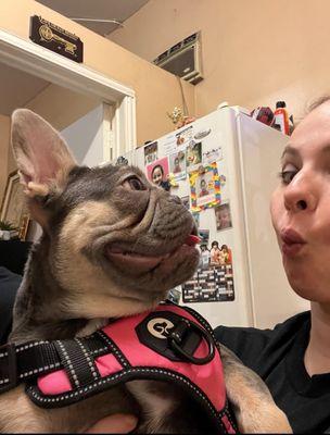 Neighborhood Veterinary Centers