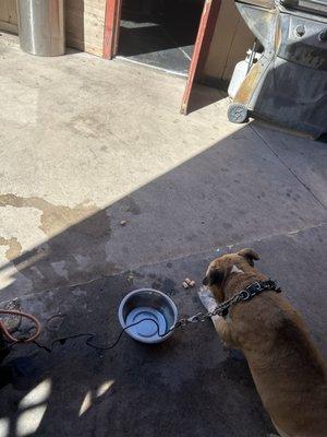 The Edge Bar & Lounge