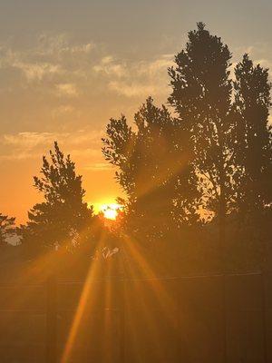 Joy for having another day under my belt clean and sober no mental relapse