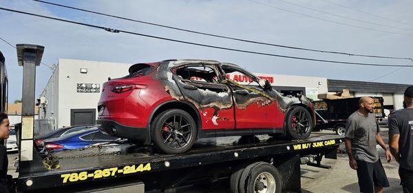 New Level Automotive Tech & Free Towing