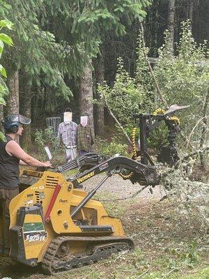 Tree pick up machine