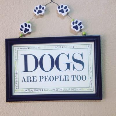 Inside main St paw spa