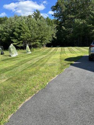 A&E Landscaping and Snow Removal