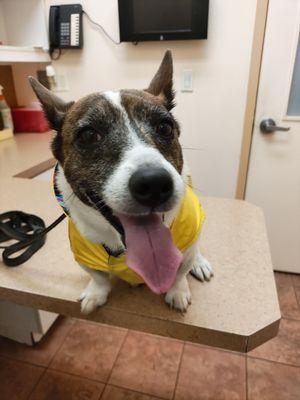 Sunnyside Pet Healthcare Center