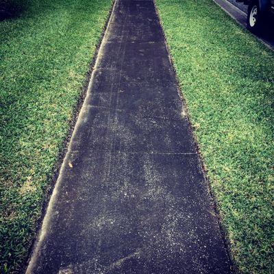 Cotton Pickin lawn care