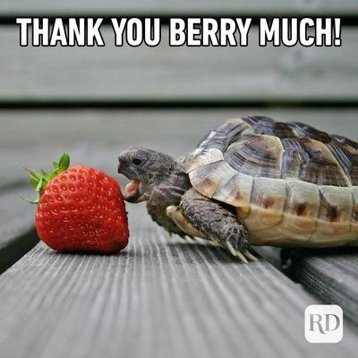Edible Arrangements