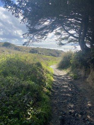 Katherine Pyle Enterprises