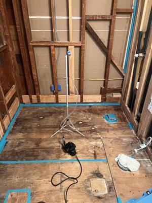 Clearance testing after remediation.