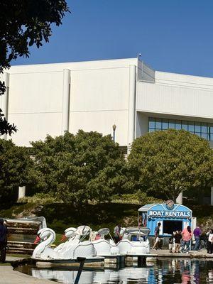 Rainbow Lagoon Swan Boats - Wheel Fun Rentals