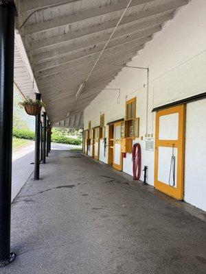 Claiborne Farm