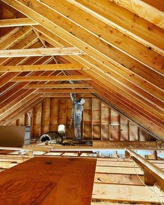 Spray Foam Insulation is the best way to save you $$$$ and make your property more energy EFFICIENT, call us or message us for a free estima