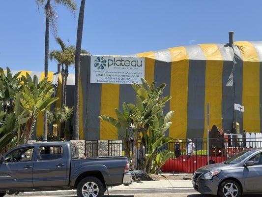 Plateau Pest Solutions