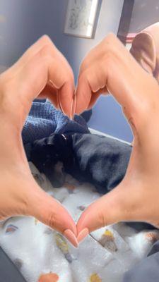 Northern Ky Animal Clinic