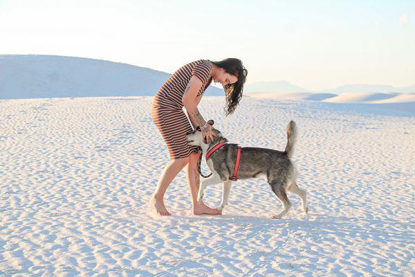 Pets at White Sands National Park