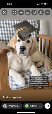 Blue Prints Dog Studio