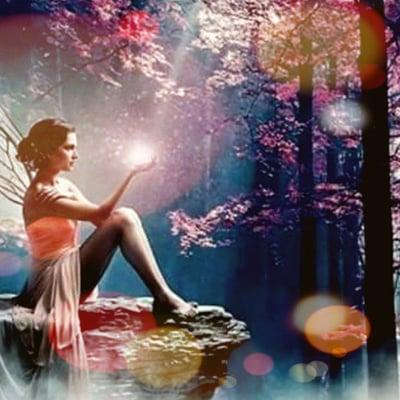 Jacqueline M The Beauty Bug