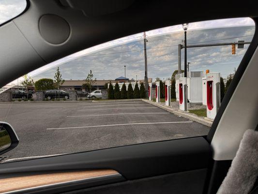 Apollo Tint & DS Vehicle Wraps