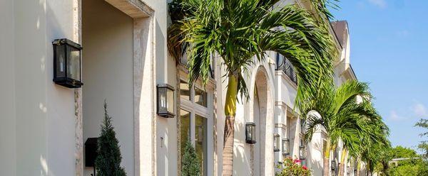 THE PALMS