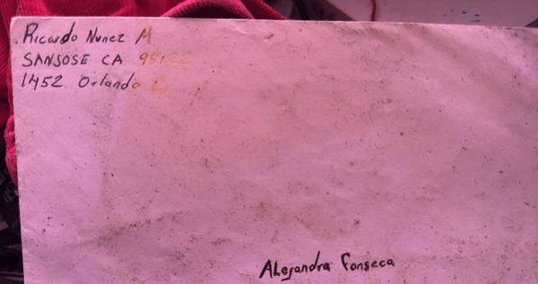 Nunez Cleaning Services