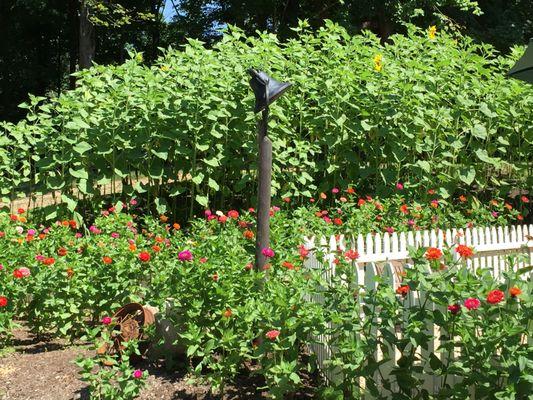 Country Kids Schoolhouse