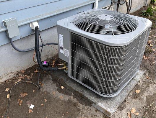 A Breath of Fresh Air