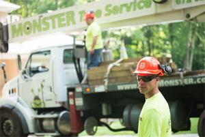 Monster Tree Service of East Cincinnati