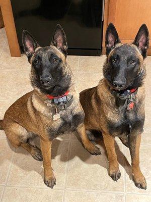 West Mountain Veterinary Hospital