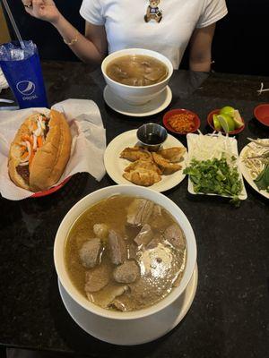 roasted pork sandwhich pork fried dumplings Rare steak Pho brisket,steak, netball pho