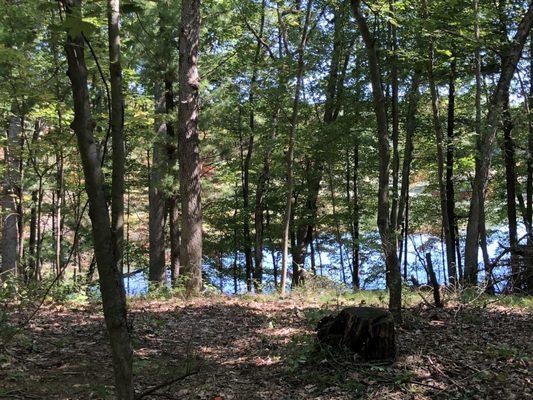 Site 78 with pond view