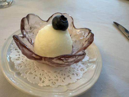 Palate cleanser of lemon sorbet