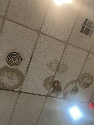 The ceiling right above the tables.