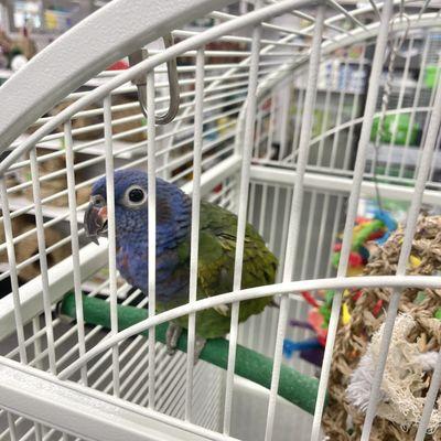 B&B Pet Stop