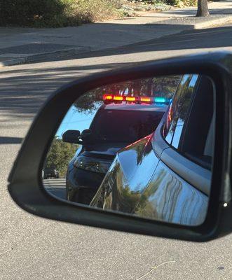 Law Offices of William C Makler