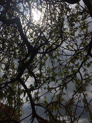 Ball Power Equipment