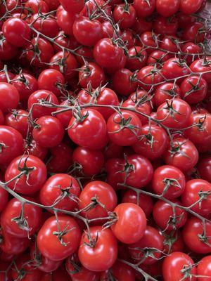 Swank uses a green house and has beautiful tomatoes before the main season