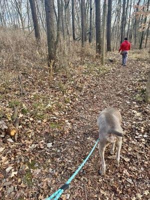 Glenns Valley Nature Park