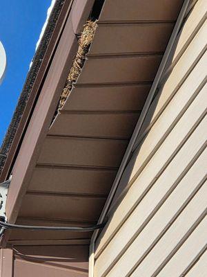 Looked up and saw this!