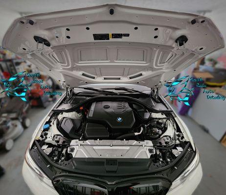 South Seas Auto Detailing