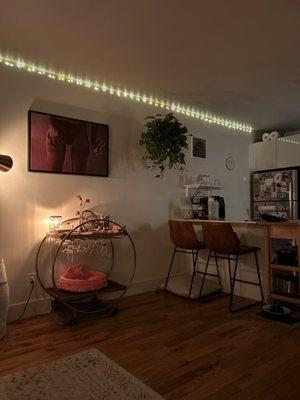 Pothos hanging plant!