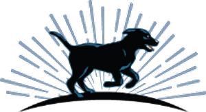 Pawtastic Pet Care Services