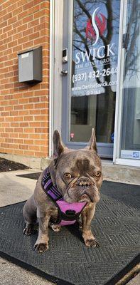 Oliver, our office companion!