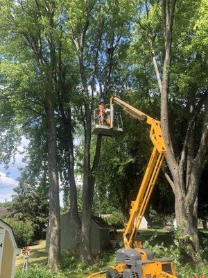 Migra Tree Service